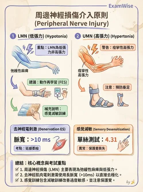 物治 - 周邊神經損傷與復健 - AI 圖文解析預覽