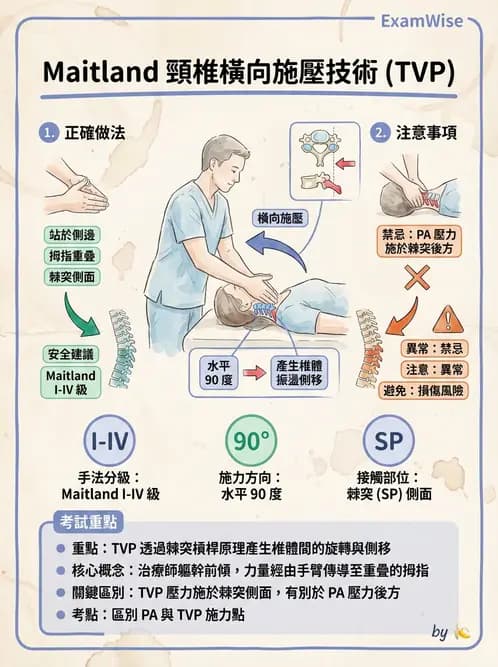 物治 - 頸椎評估與病理 - AI 圖文解析預覽