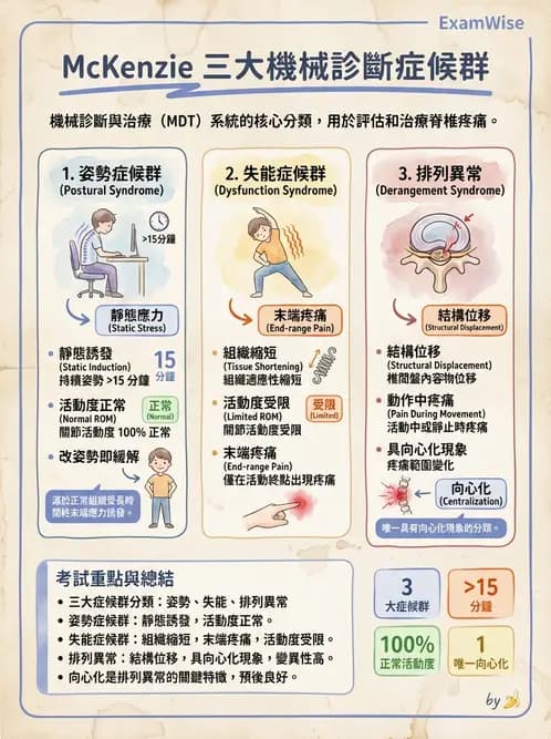 物治 - 腰椎穩定訓練與治療原則 - AI 圖文解析預覽