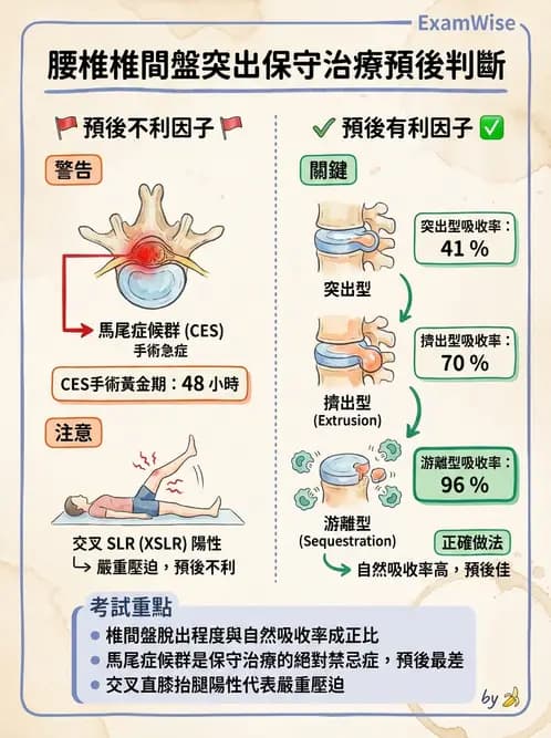 物治 - 腰椎椎間盤與脊椎狹窄 - AI 圖文解析預覽
