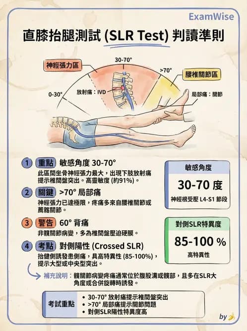 物治 - 腰椎椎間盤與脊椎狹窄 - AI 圖文解析預覽