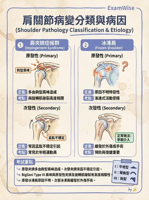 物治 - 冰凍肩與胸廓出口症候群 - AI 圖文解析預覽