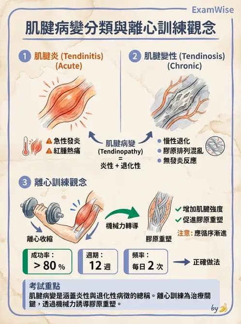 物治 - 肘及前臂關節 - AI 圖文解析預覽