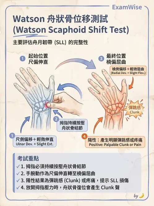 物治 - 腕關節疾病 - AI 圖文解析預覽