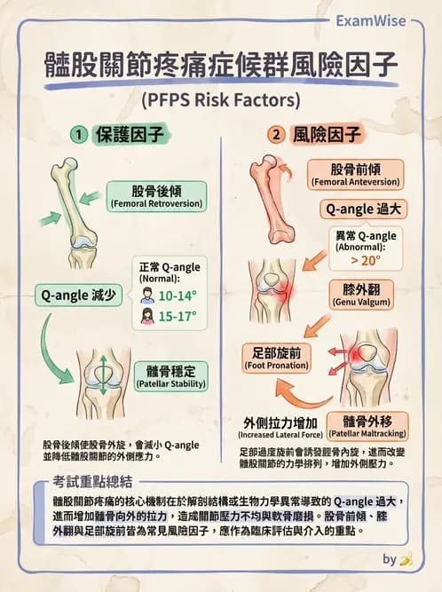 物治 - 髕股關節疼痛與伸展機制 - AI 圖文解析預覽