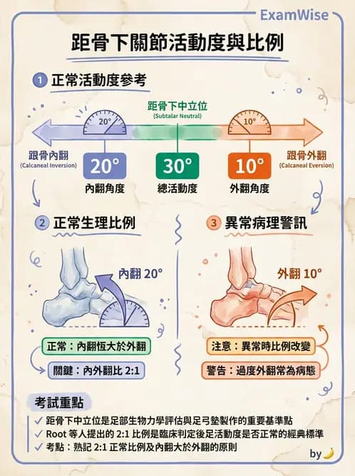 物治 - 足部病變與輔具評估 - AI 圖文解析預覽