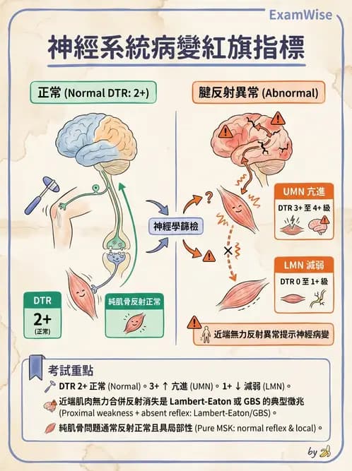 物治 - 初級照護與鑑別診斷 - AI 圖文解析預覽
