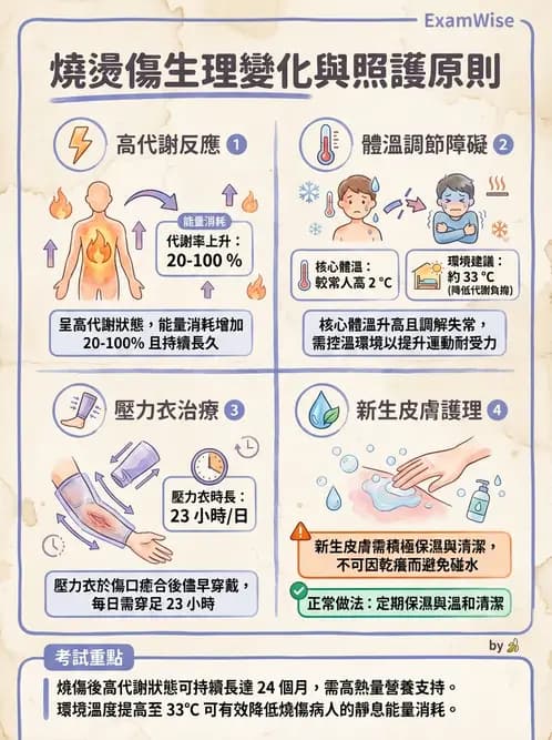 物治 - 皮膚與淋巴系統物理治療 - AI 圖文解析預覽