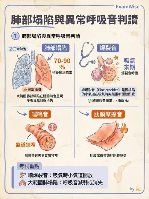 物治 - 呼吸臨床評估技術 - AI 圖文解析預覽