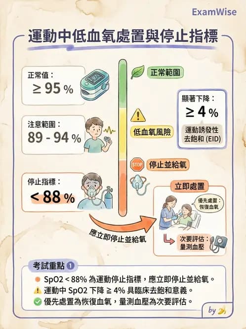 物治 - 運動篩檢與處方設計 - AI 圖文解析預覽