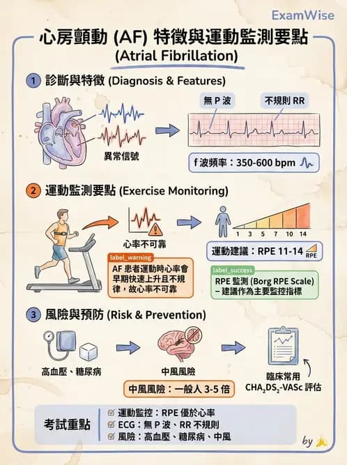 物治 - 心電圖判讀 - AI 圖文解析預覽