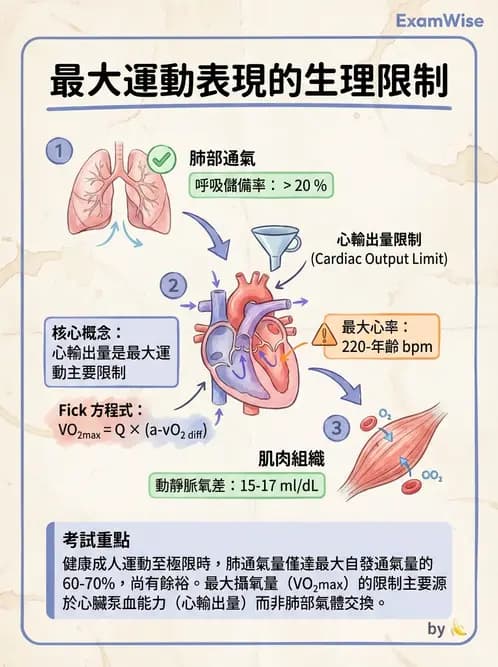 物治 - 運動生理學與能量代謝 - AI 圖文解析預覽