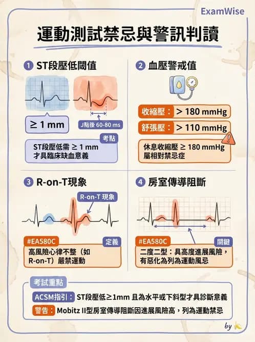 物治 - 運動篩檢與處方設計 - AI 圖文解析預覽
