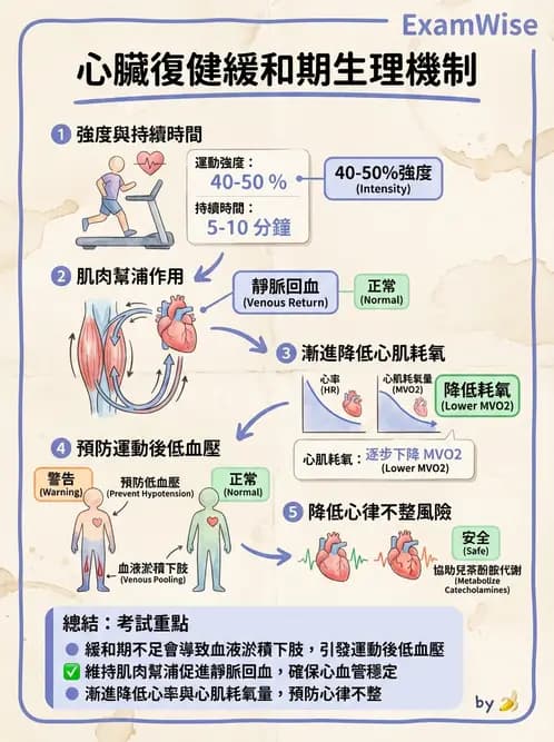 物治 - 心臟復健與運動處方 - AI 圖文解析預覽