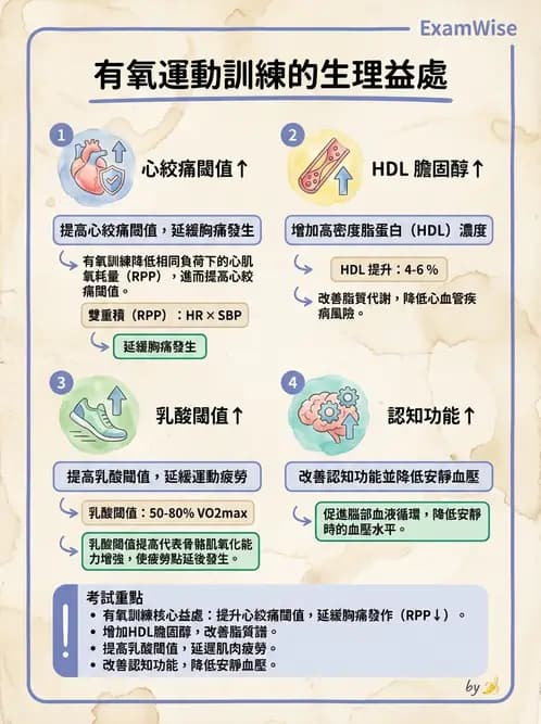 物治 - 運動生理學與能量代謝 - AI 圖文解析預覽