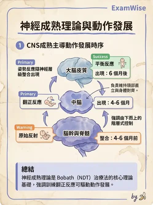 物治 - 小兒物理治療基礎與原理 - AI 圖文解析預覽