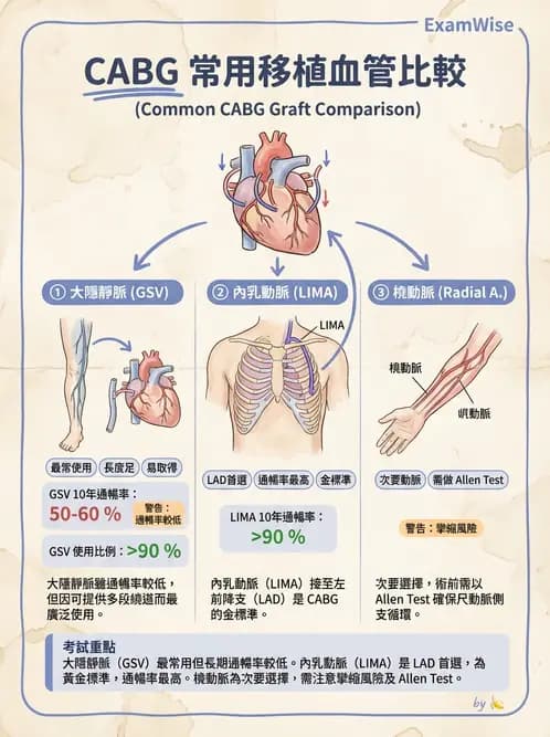 物治 - 心臟血管與血液解剖 - AI 圖文解析預覽