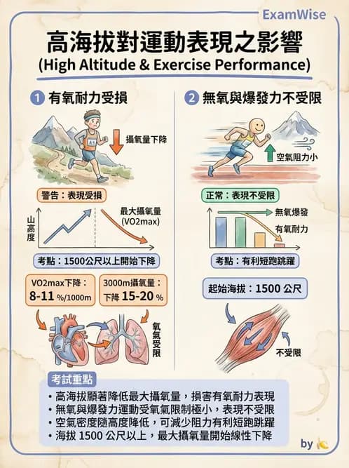 物治 - 運動與環境心肺生理 - AI 圖文解析預覽