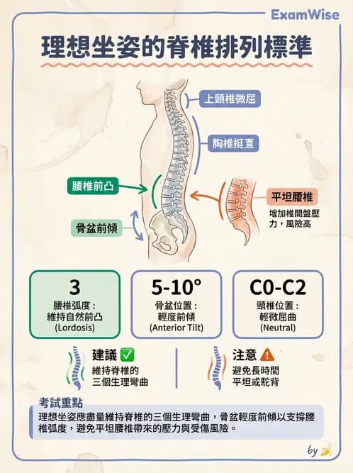 物治 - 日常功能動作與工效學 - AI 圖文解析預覽