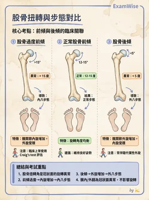 物治 - 異常步態與姿勢分析 - AI 圖文解析預覽