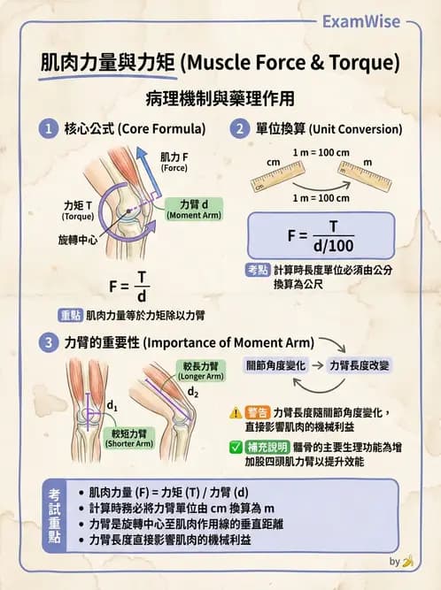 物治 - 關節運動學與生物力學計算 - AI 圖文解析預覽
