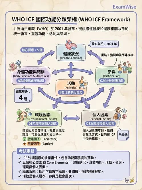 物治 - 病歷與紀錄管理 - AI 圖文解析預覽