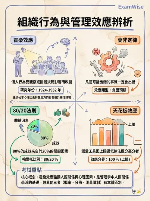 物治 - 管理理論與組織 - AI 圖文解析預覽