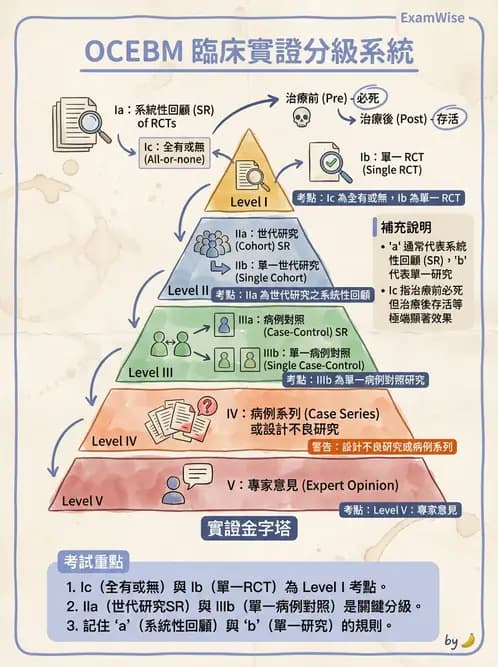物治 - 實證概念與發展 - AI 圖文解析預覽
