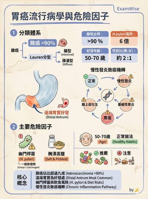 護理師 - 消化系統癌症護理 - AI 圖文解析預覽