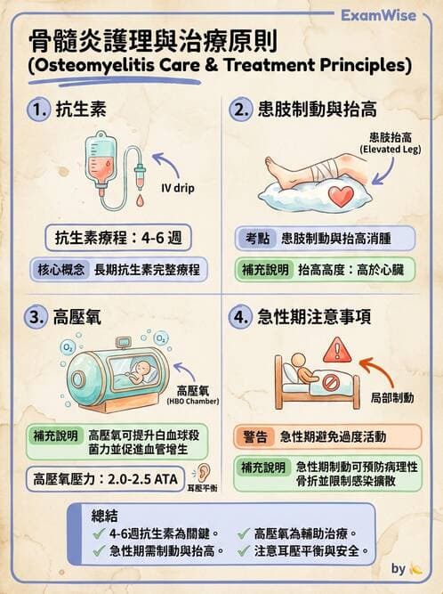 護理師 - 骨折與牽引護理 - AI 圖文解析預覽