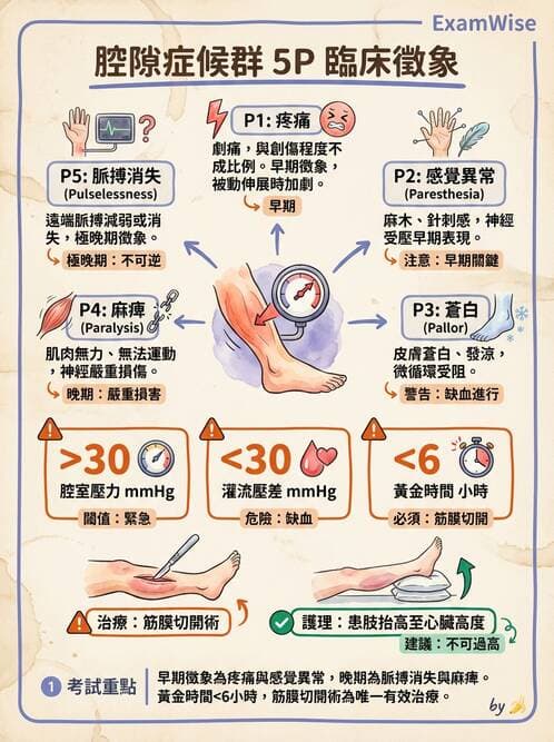 護理師 - 骨折與牽引護理 - AI 圖文解析預覽