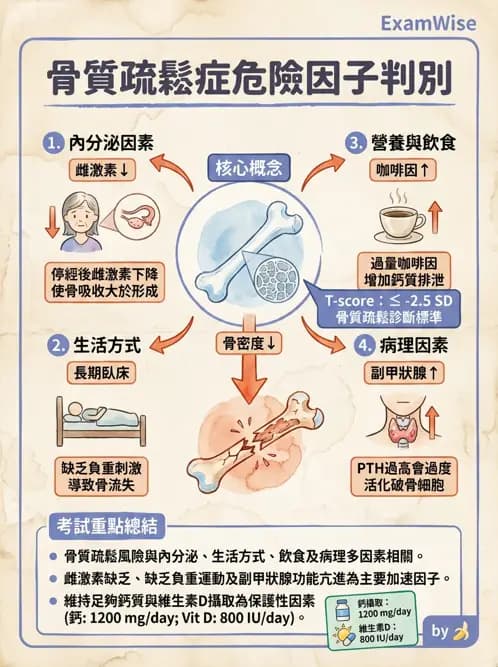 護理師 - 關節疾病與骨科手術 - AI 圖文解析預覽