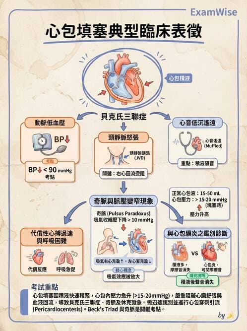 護理師 - 心臟瓣膜病與發炎性心臟病 - AI 圖文解析預覽