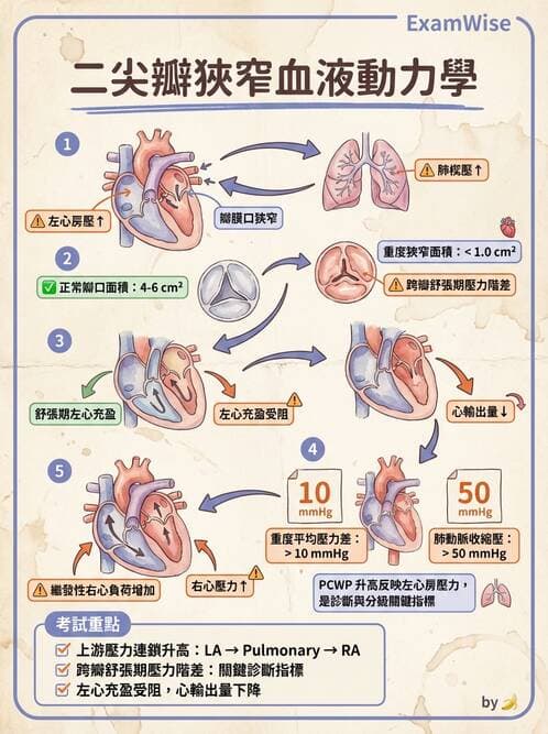 護理師 - 心臟瓣膜病與發炎性心臟病 - AI 圖文解析預覽