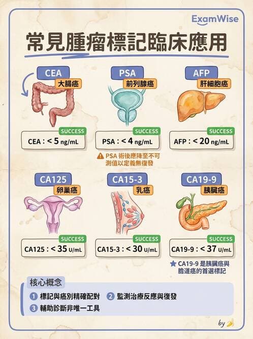 護理師 - 腫瘤概論與診斷 - AI 圖文解析預覽