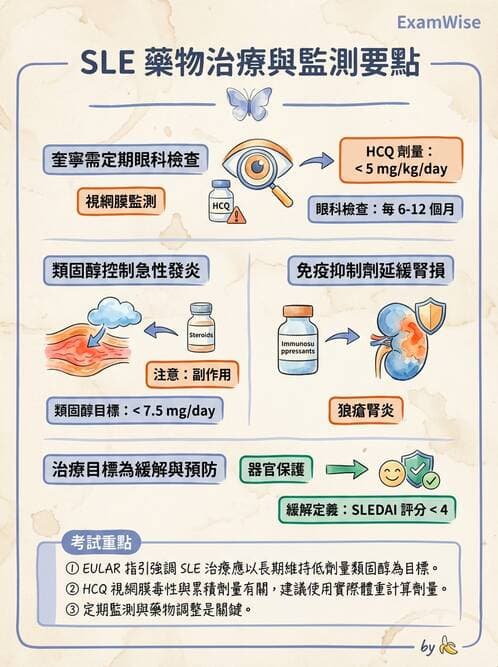 護理師 - 自體免疫疾病與過敏反應 - AI 圖文解析預覽