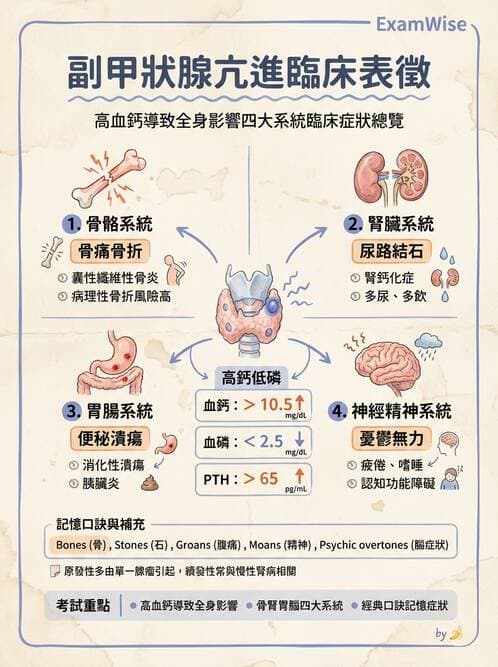 護理師 - 甲狀腺與副甲狀腺疾病 - AI 圖文解析預覽