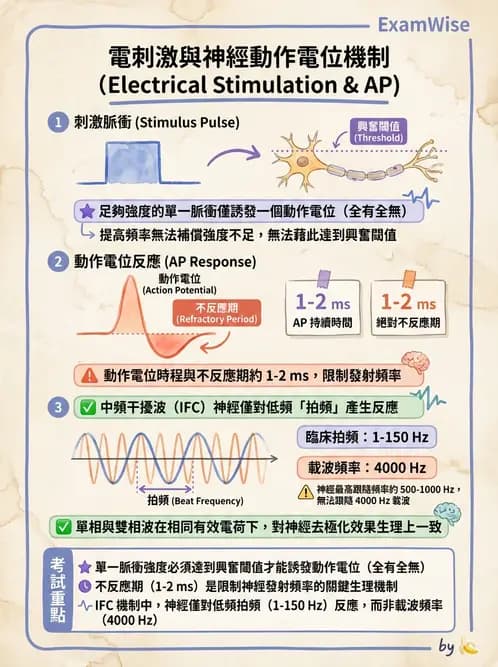 物治 - 經皮電刺激與電療基礎 - AI 圖文解析預覽