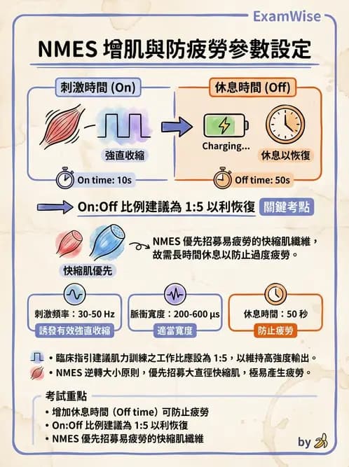 物治 - 神經肌肉電刺激 - AI 圖文解析預覽
