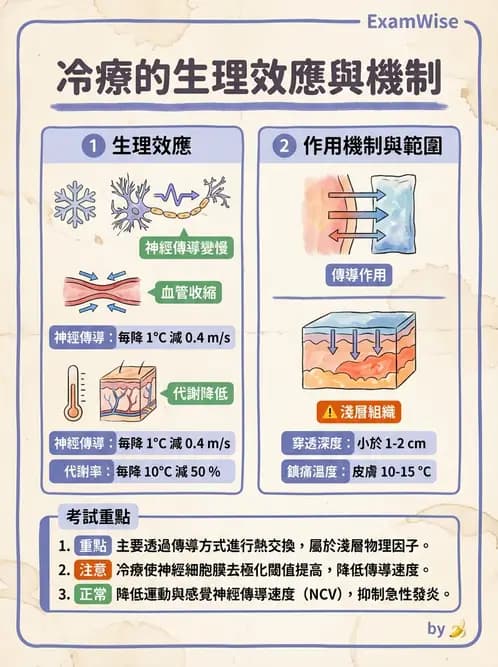 物治 - 溫度療法 - AI 圖文解析預覽