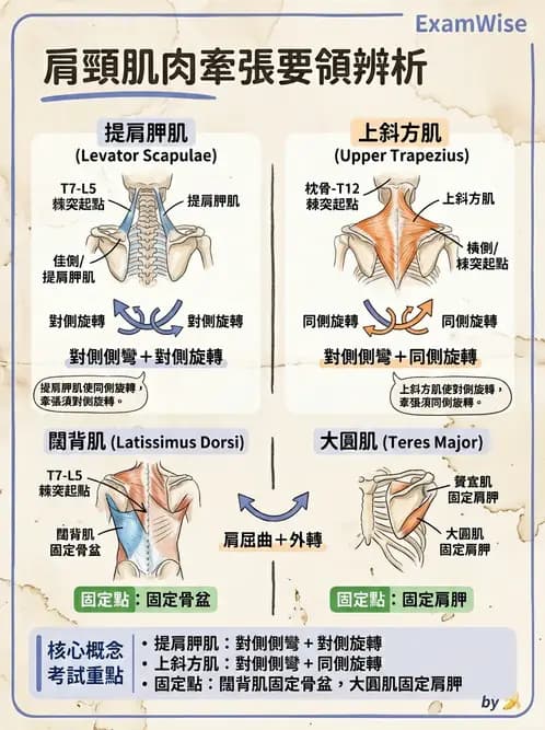 物治 - ROM通則與關節運動 - AI 圖文解析預覽