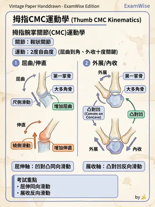 物治 - 鬆動術臨床應用 - AI 圖文解析預覽