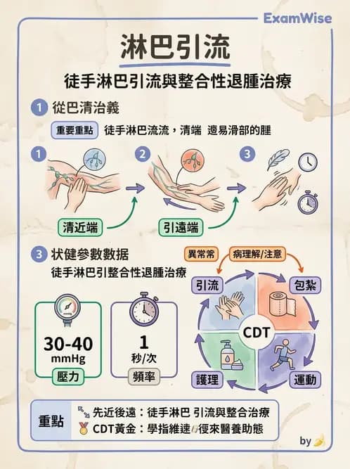物治 - 淋巴水腫與徒手淋巴引流 - AI 圖文解析預覽