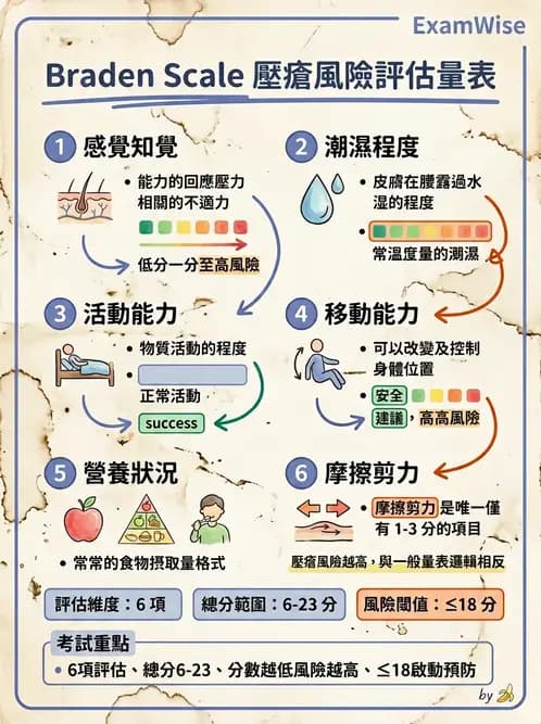 物治 - 功能評估與再教育 - AI 圖文解析預覽