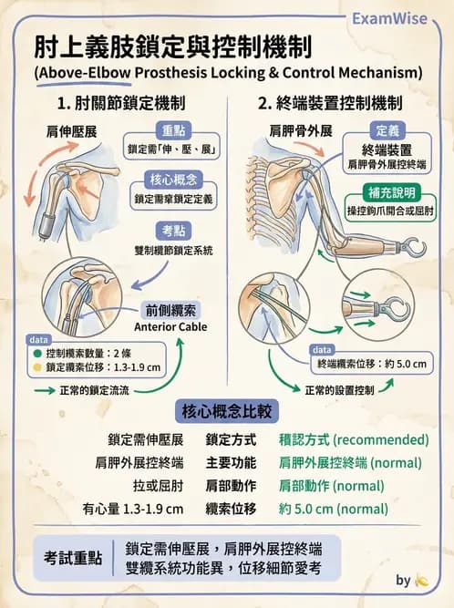物治 - 義肢 - AI 圖文解析預覽