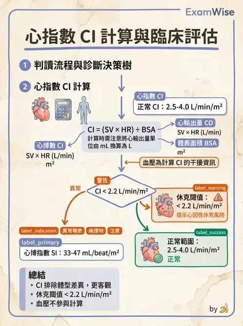 物治 - 心臟血管生理 - AI 圖文解析預覽