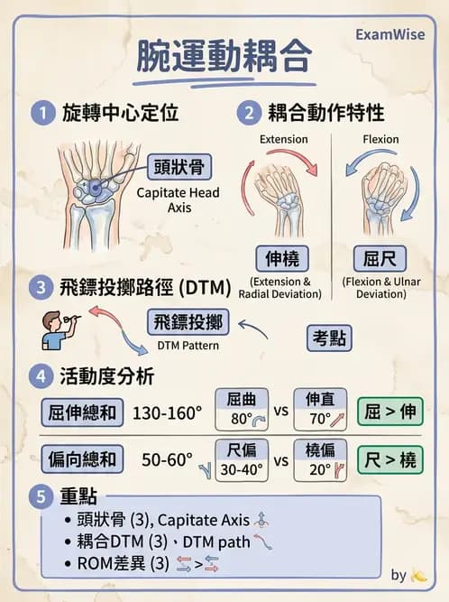 物治 - 腕關節生物力學 - AI 圖文解析預覽
