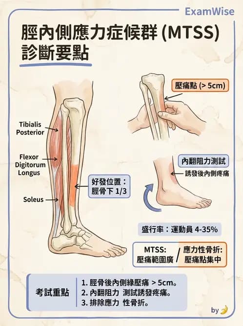 物治 - 踝與足部肌動學與生物力學 - AI 圖文解析預覽