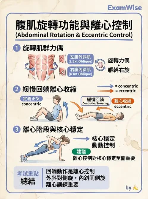 物治 - 軀幹肌動學與生物力學 - AI 圖文解析預覽