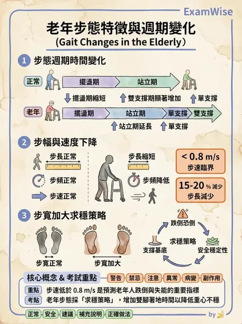 物治 - 異常步態與姿勢分析 - AI 圖文解析預覽